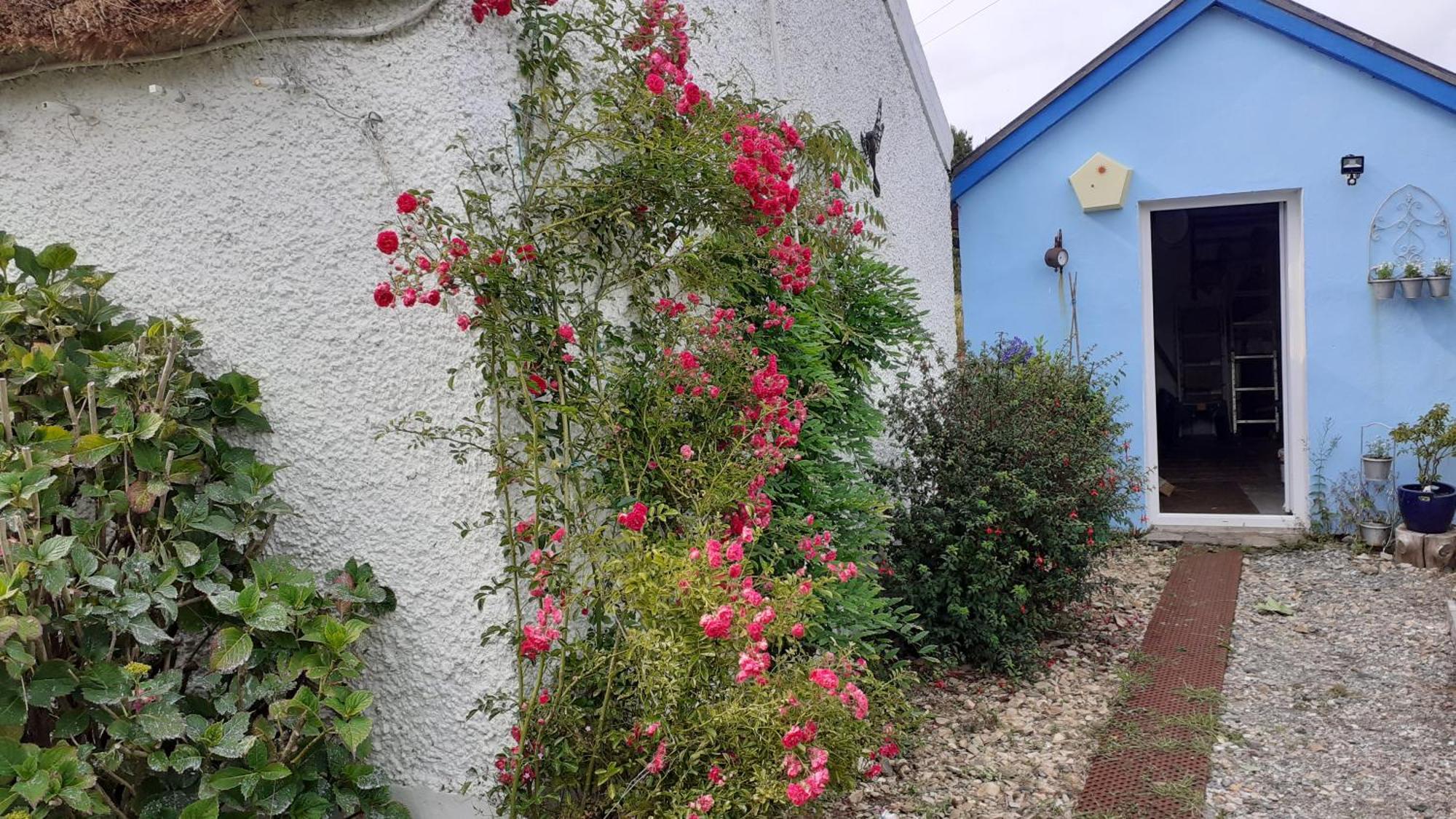 The Rockhouse - Cosy Stone Built Thatch Holiday home Dungloe